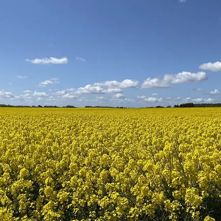 ベッド・アンド・ブレックファスト Huset I 3*
